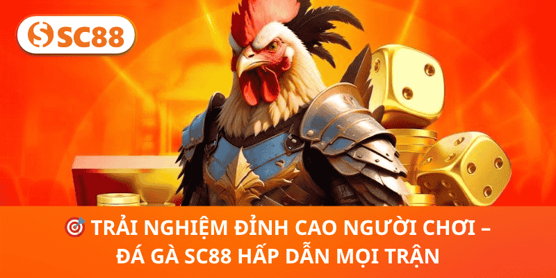 🎯 Trải Nghiệm Đỉnh Cao Người Chơi – Đá Gà SC88 Hấp Dẫn Mọi Trận